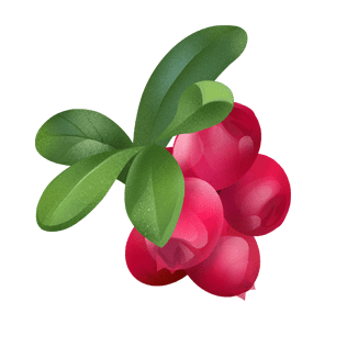 Tyttebær