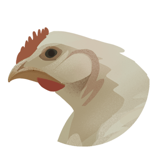 Kyllinglår